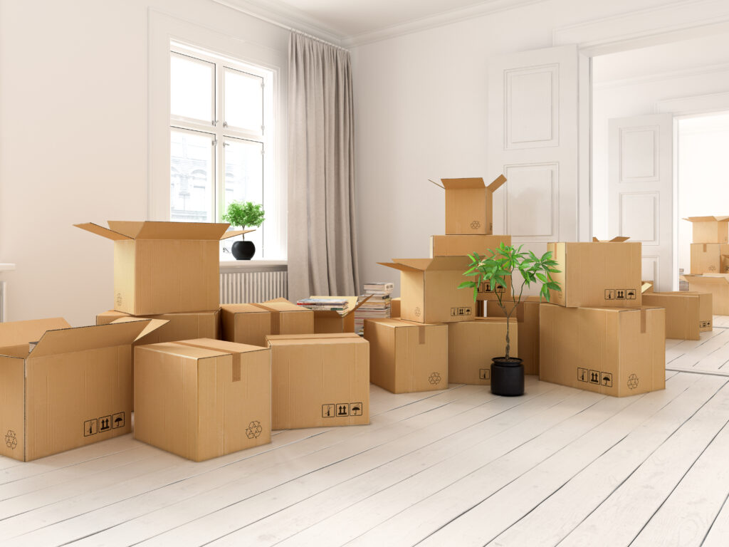 Decluttering Storage Ideas