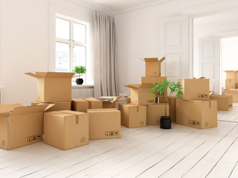 Decluttering Storage Ideas