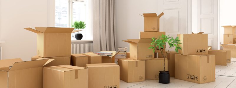 Decluttering Storage Ideas